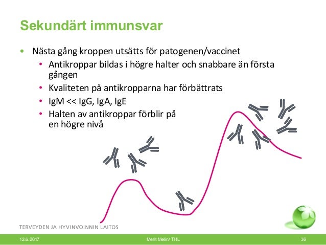 hur bildas antikroppar hur bildas antikroppar